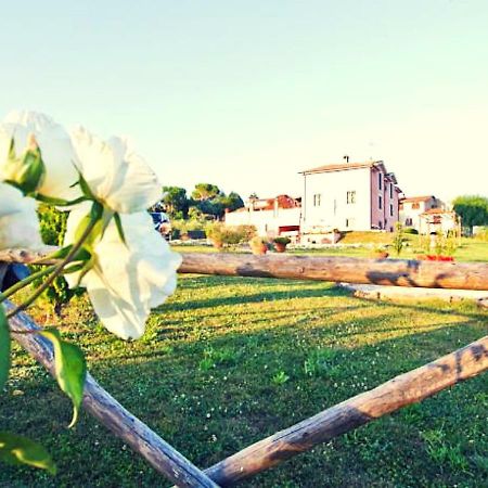 Casale Molinelle Daire San Gemini Dış mekan fotoğraf