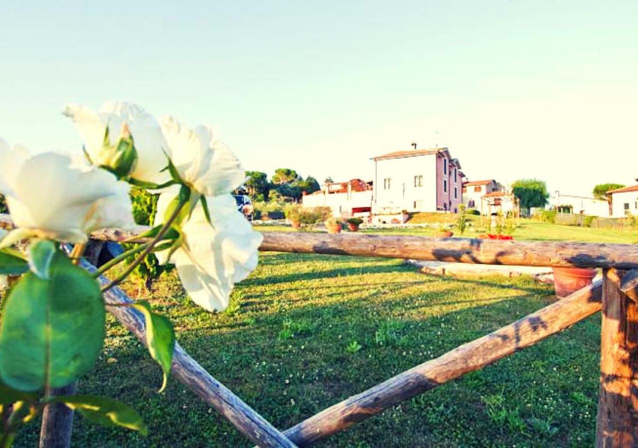 Casale Molinelle Daire San Gemini Dış mekan fotoğraf